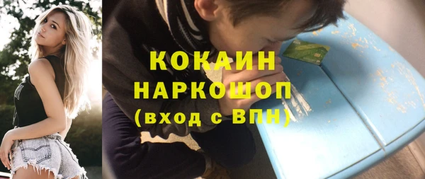 прущие грибы Вяземский