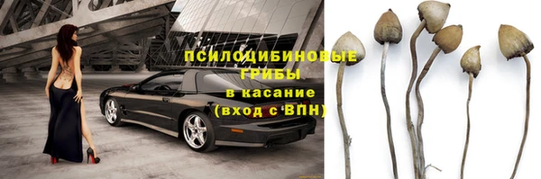 ГАЛЛЮЦИНОГЕННЫЕ ГРИБЫ Верея