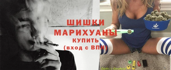 прущие грибы Вяземский