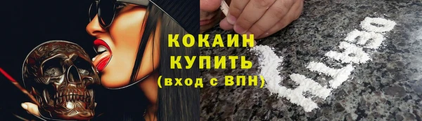 ПСИЛОЦИБИНОВЫЕ ГРИБЫ Верхний Тагил