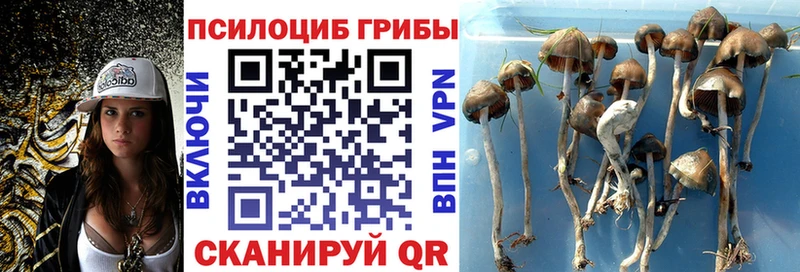 МЕГА онион  Заозёрск  Галлюциногенные грибы прущие грибы 